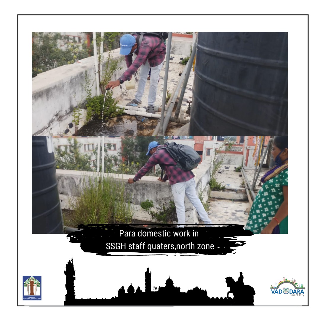 Para Domestic Work in SSGH Staff quarters, North Zone